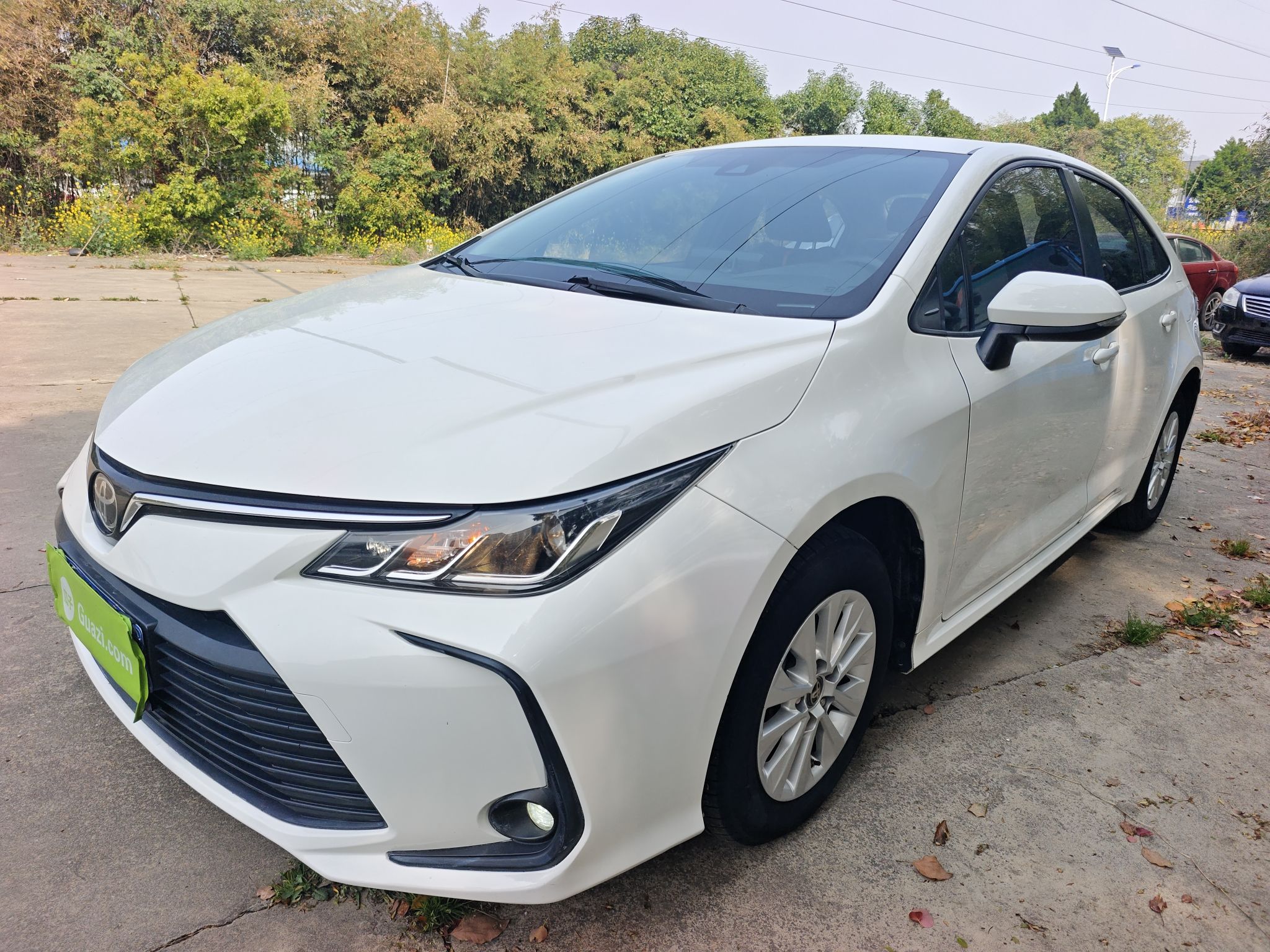 تحت مقدمة السيارة