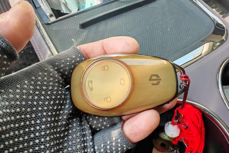 Used Leapmotor C11 2021 Revised Version Luxury Edition
