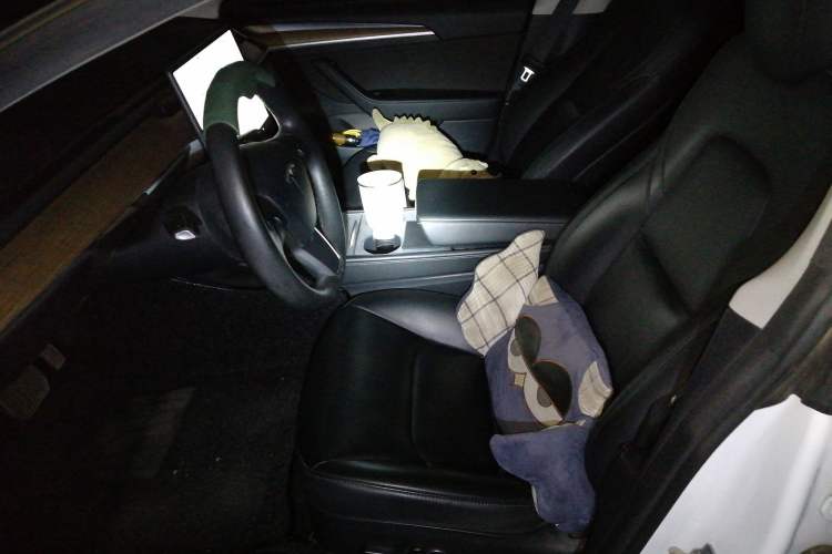 Used Tesla Model 3 2021 Standard Range Rear-Drive Upgraded Version
