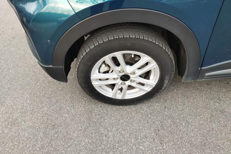 Used Dayun Yuehu 2022 300 Standard Edition
