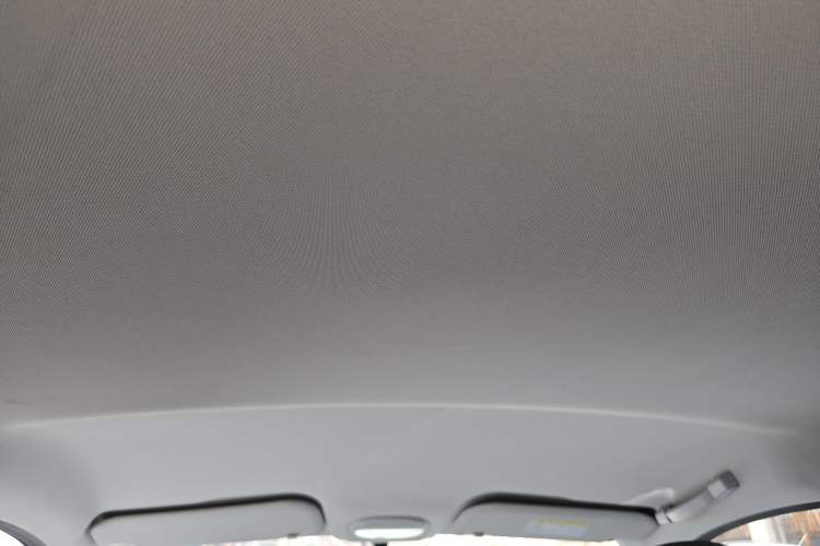 Used Chery Little Ant 2024 Edition Youth Version 251km True Love Edition 25.05 kWh Headliner