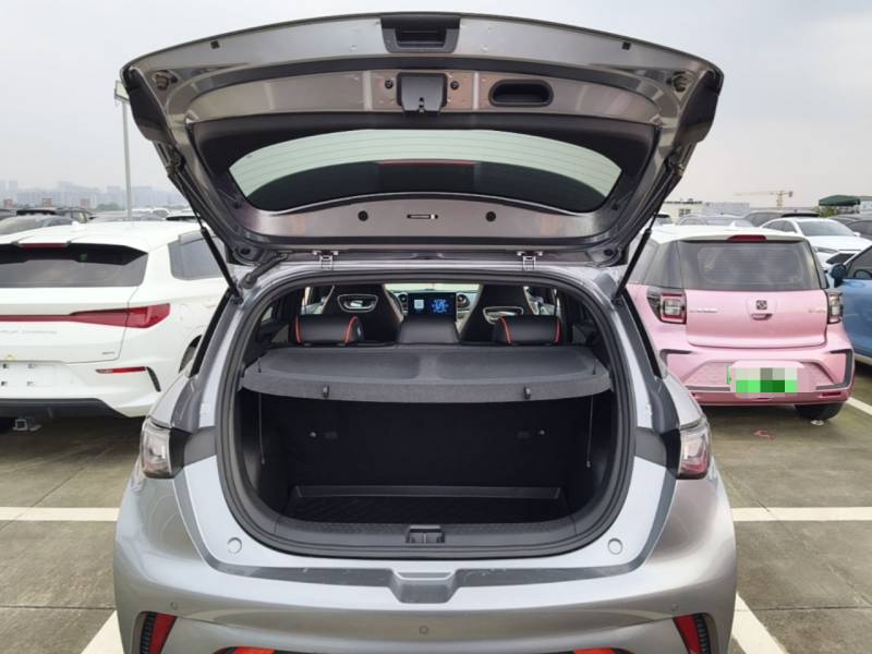 Used BYD Dolphin 2021 405 km Fashion Edition — 18