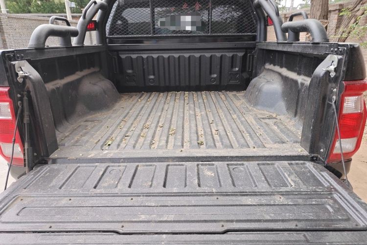Used Foton Mars 