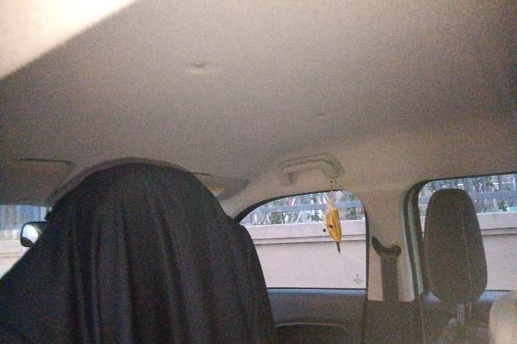 Used ORA White Cat 2020 305 km Luxury Version
