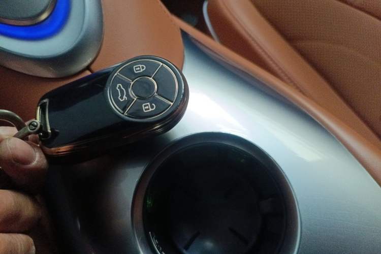 Used ORA Lightning Cat 2022 555 km Luxury Edition
