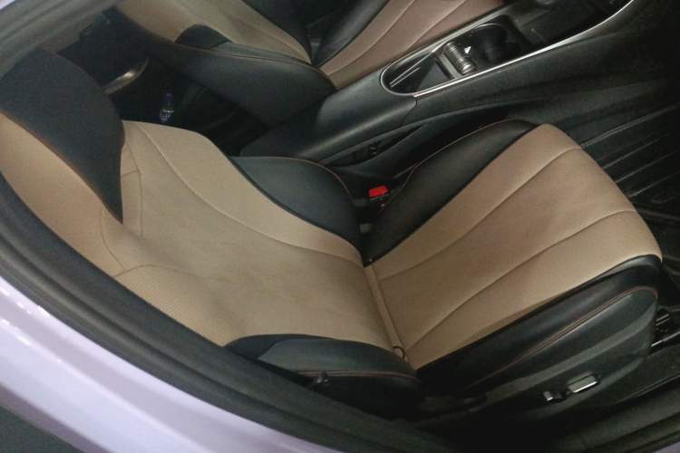 Used BYD Dolphin 2023 420 km Fashion Edition Right Front Seat