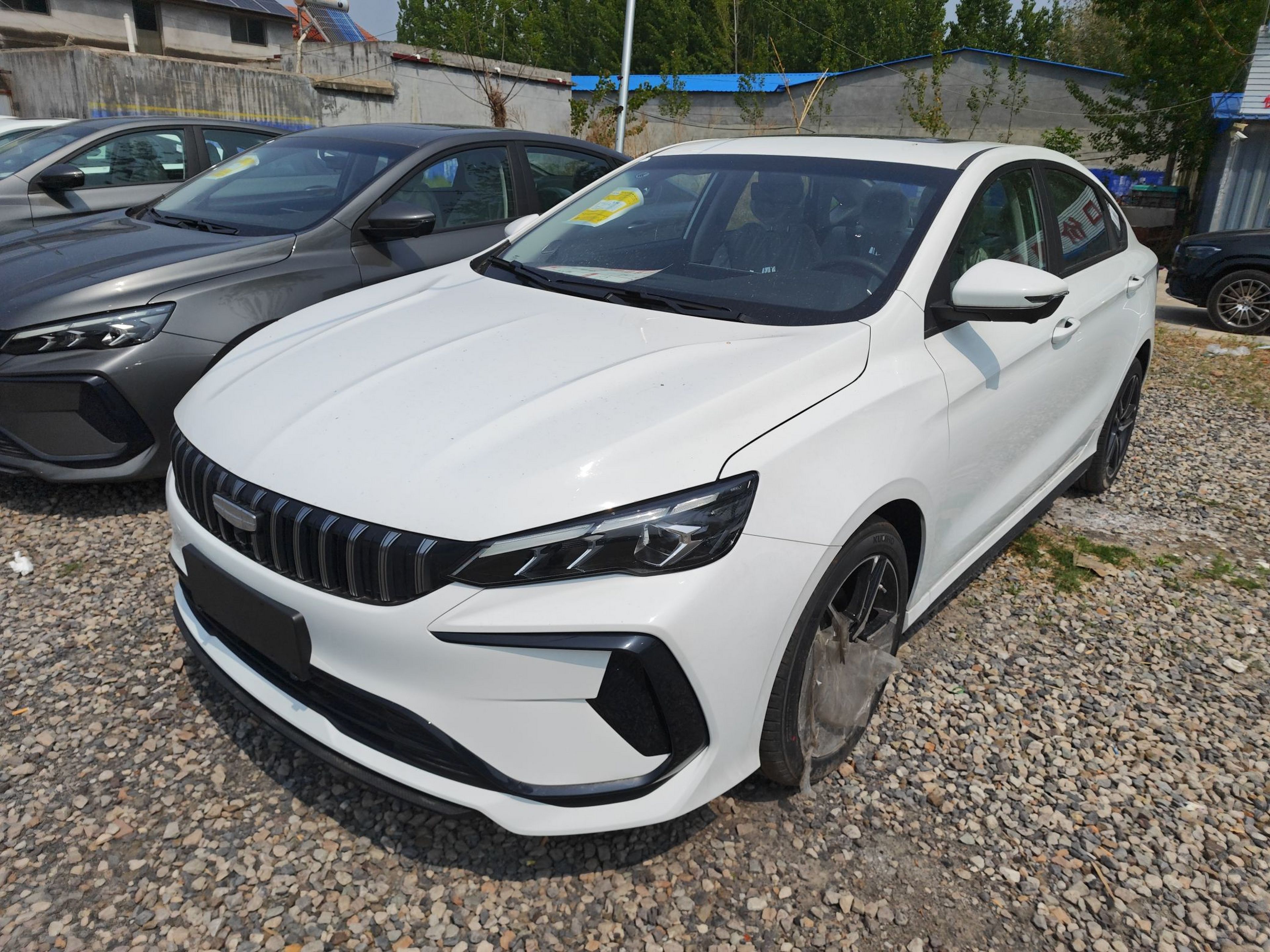 Parte inferior delantera