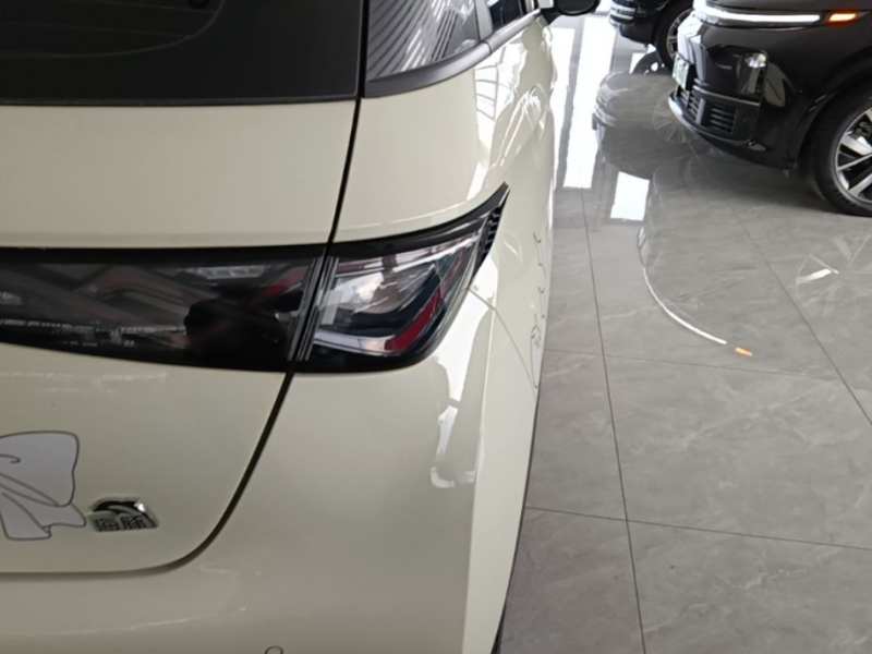 Used BYD Dolphin 2023 420 km Free Version — 7