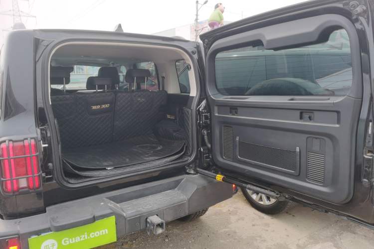 Used Tank 300 2024 2.0T Conqueror
