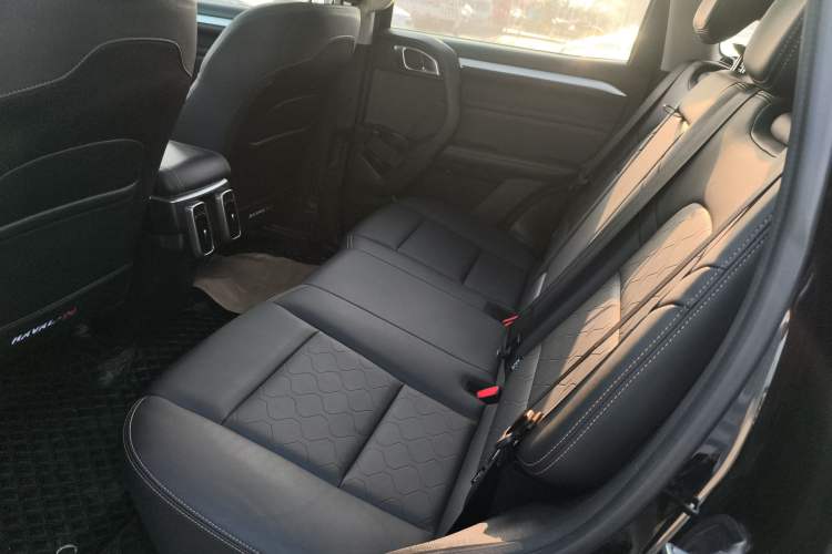 Used Haval DARGO 2021 1.5T DCT Two-Wheel Drive "Mǎquǎn" Edition Left Rear Seat