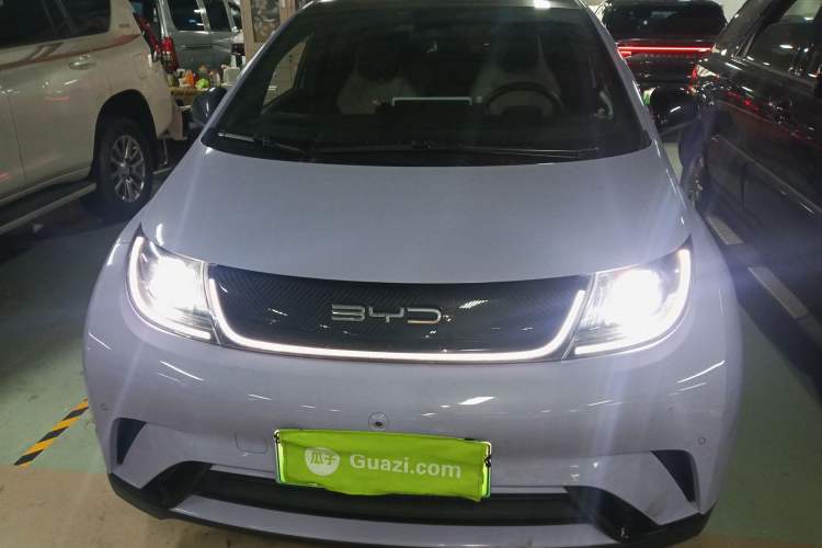 Used BYD Dolphin 2023 420 km Fashion Edition Front