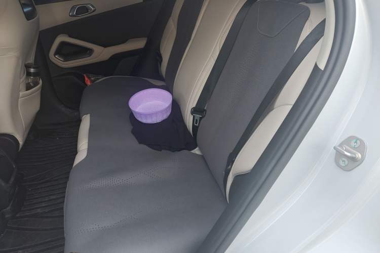 Used BYD Yuan UP 2024 401KM Leading Edition Left Rear Seat