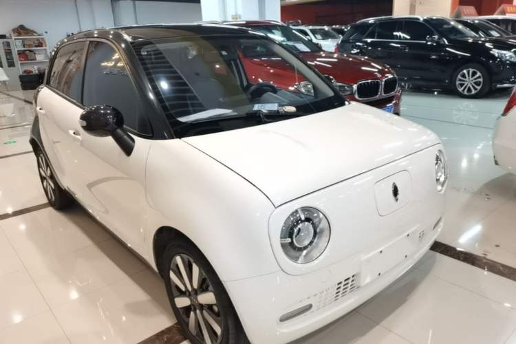 Used ORA Black Cat 2019 351 km Family Edition
