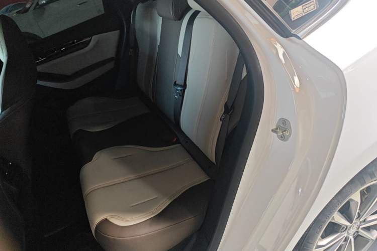 Used BYD Qin PLUS 2023 Champion Edition DM-i 55KM Leading Model Left Rear Seat