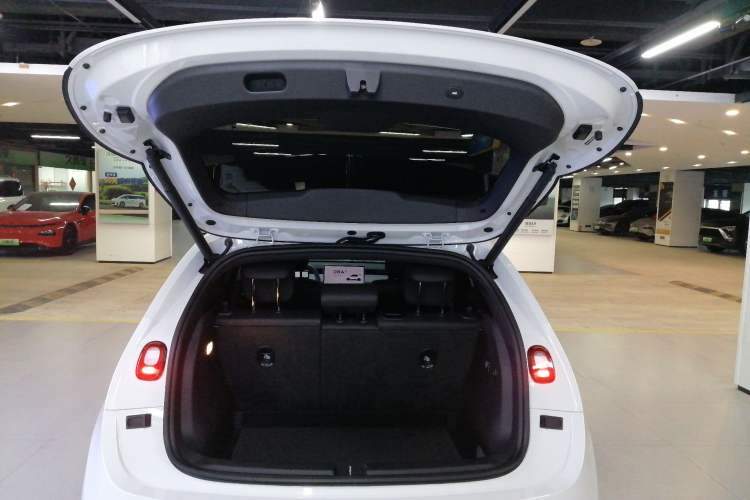 Used firefly firefly 2025 Free Edition