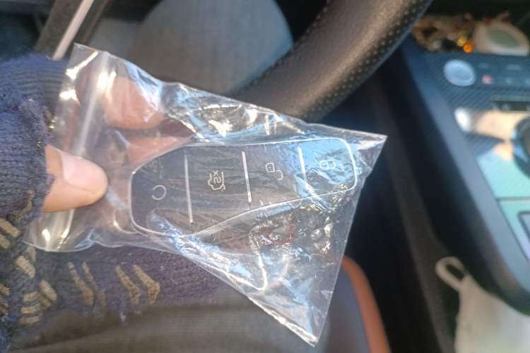 Used BYD e2 2021 Luxury Model