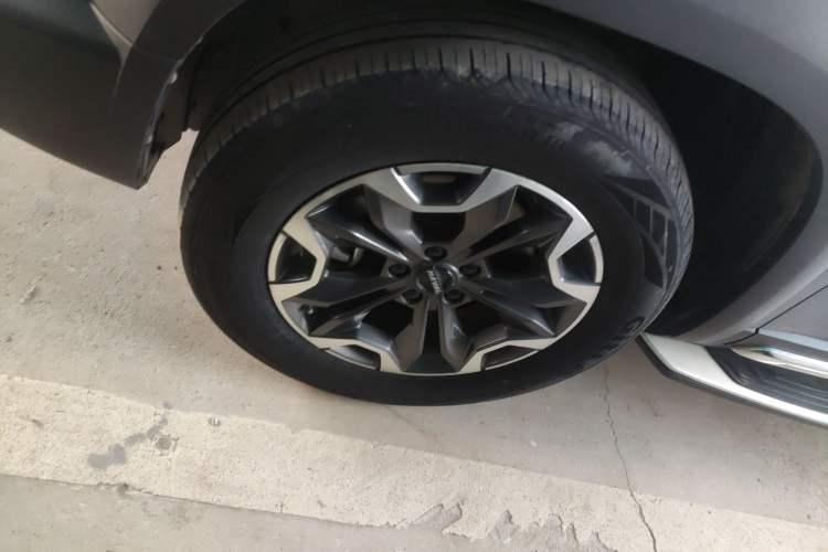 Used Haval DARGO 2021 2.0T DCT 4x4 Chinese Rural Dog Edition