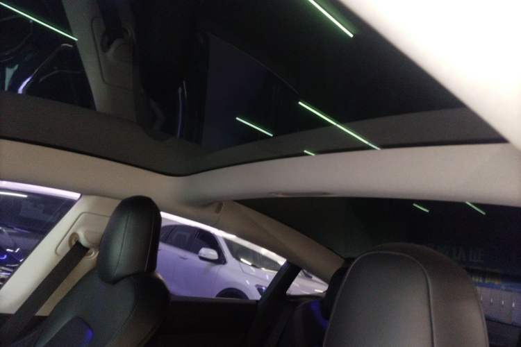 Used Tesla Model 3 2019 Standard Range Rear-Drive Upgraded Version Headliner