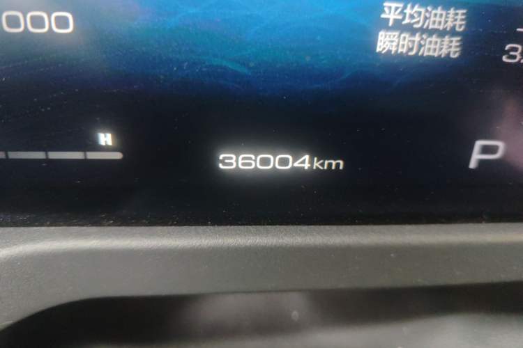 Used Tank 300 2021 Off-Road Edition 2.0T Conqueror