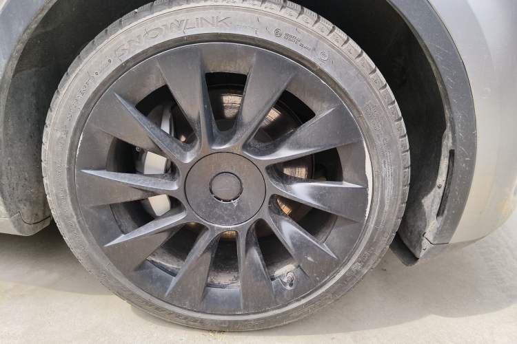 Used Tesla Model Y 2021 Standard Range Rear-Wheel Drive Version
