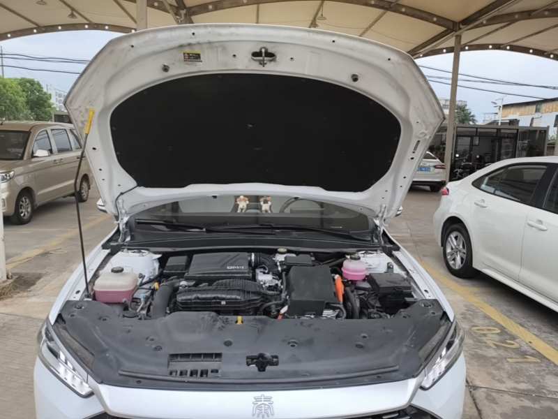Used BYD Qin PLUS 2024 HONOR Edition DM-i 55KM Leading Model — 19