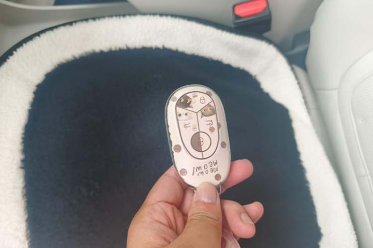 Used Geely Galaxy Geome 2025 310km Youth Edition