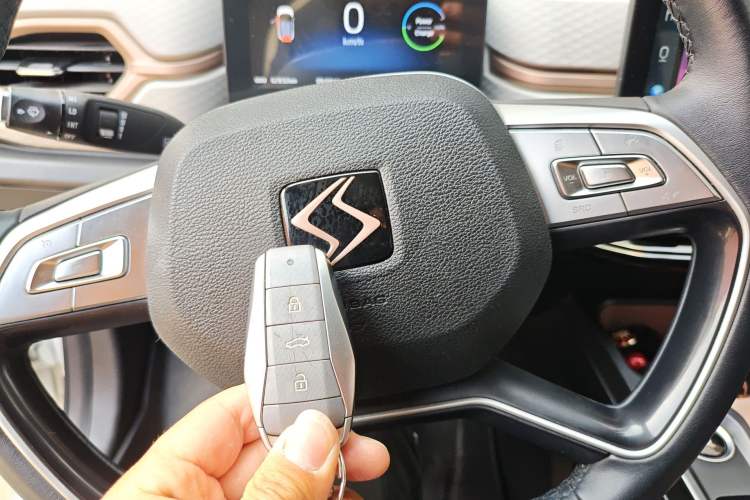 Used SOL E10X 2022 Flower Fairy Style Baby's Breath Vehicle Key