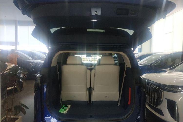 Used Buick GL8 New Energy 2024 Lu Zun Luxury Edition 6-Seater
