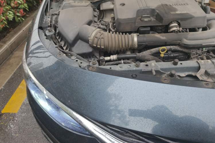 Used Chevrolet Malibu XL 2019 535T CVT Active Version