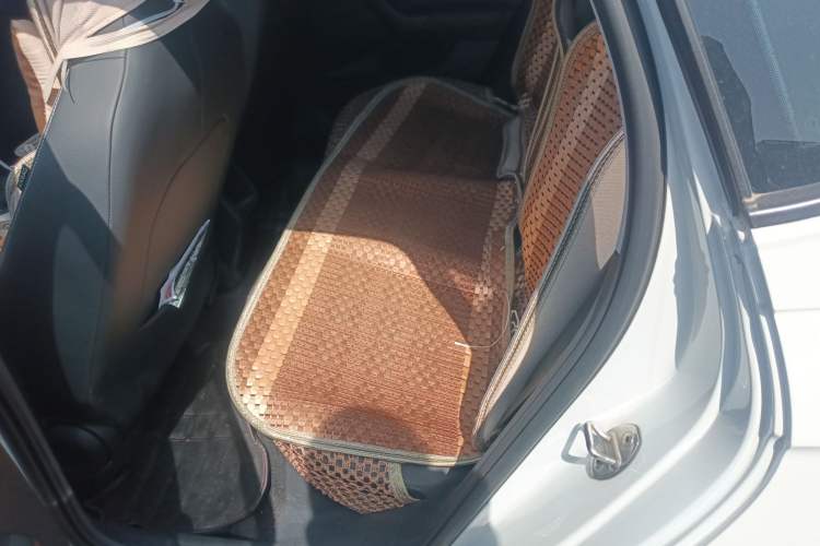 Used Volkswagen Polo 2019 Plus 1.5L Automatic Colorful Technology Edition Left Rear Seat