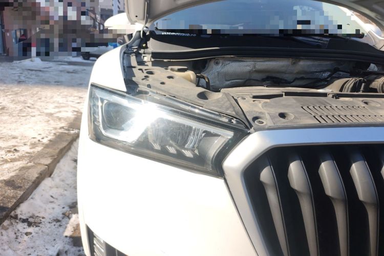 Used BORGWARD BX5 2017 20TGDI Automatic Two-Wheel Drive Leading Edition