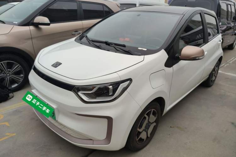 Used SOL E10X 2022 Flower Fairy Style Baby's Breath