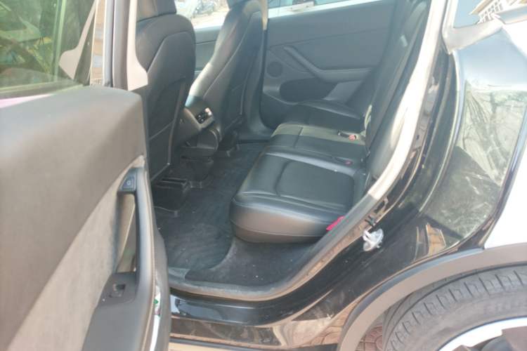 Used Tesla Model Y 2021 Standard Range Rear-Wheel Drive Version
