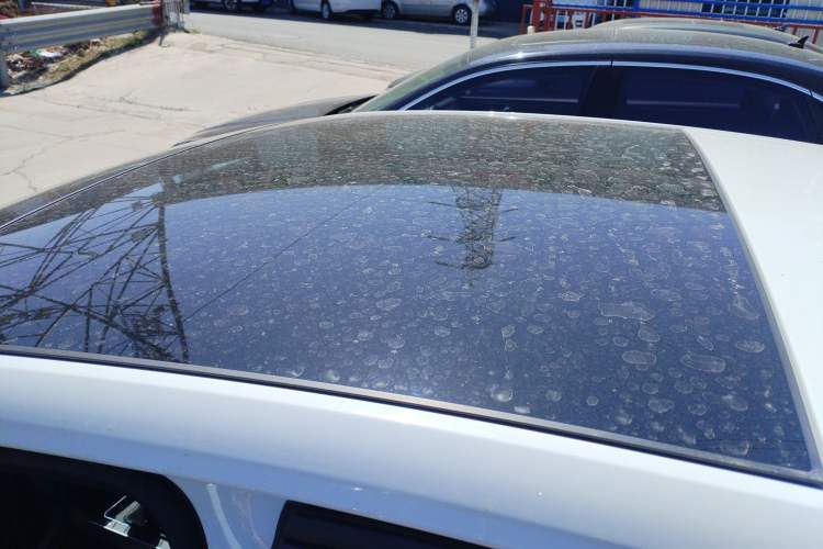 Used Volkswagen Polo 2023 Revised Plus 1.5L Automatic Panoramic Enjoyment Edition Roof