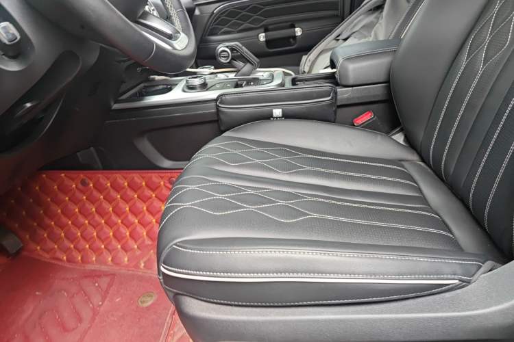 Used Tank 300 2024 2.0T Challenger Left Front Seat