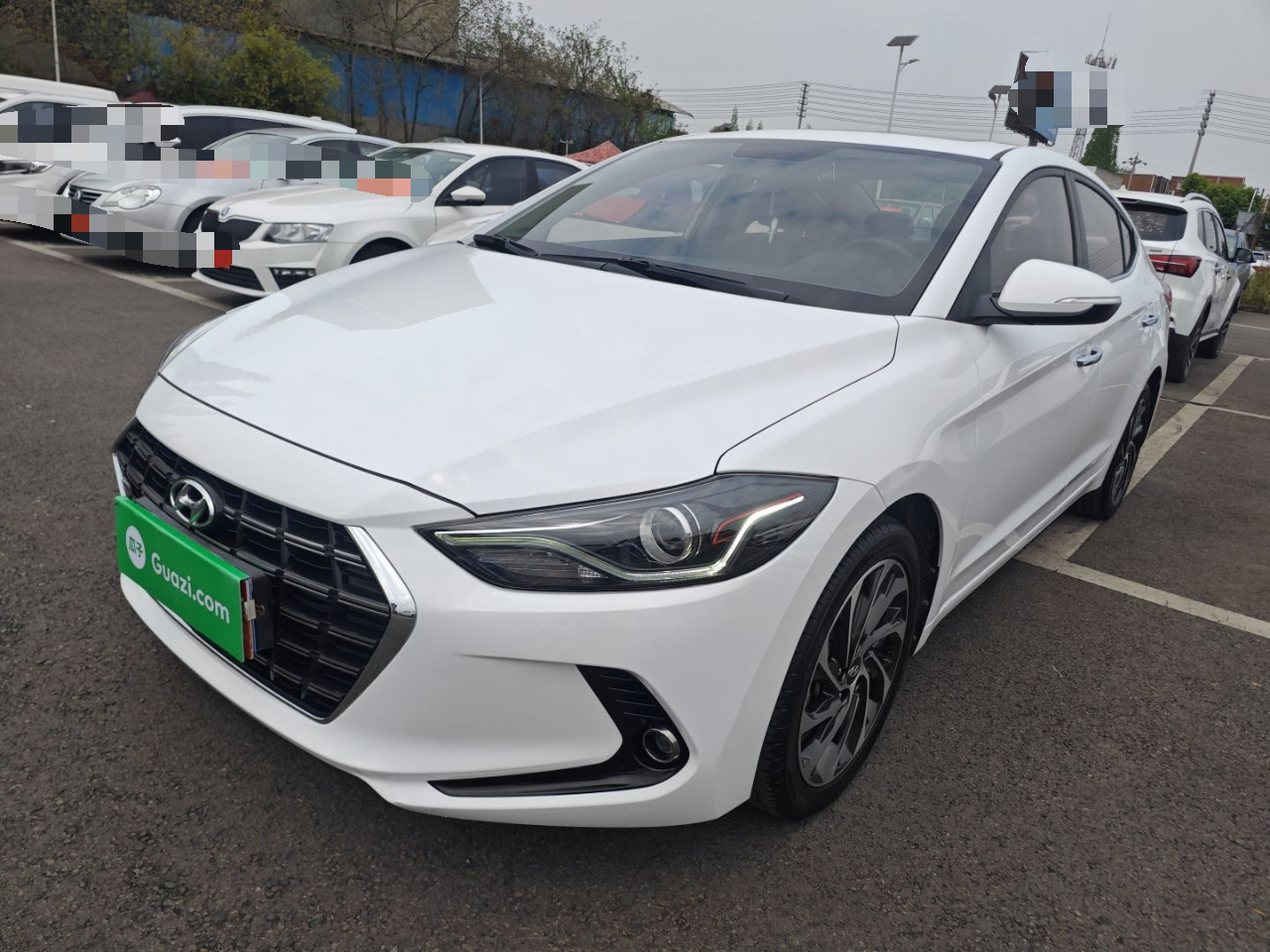 Parte inferior delantera