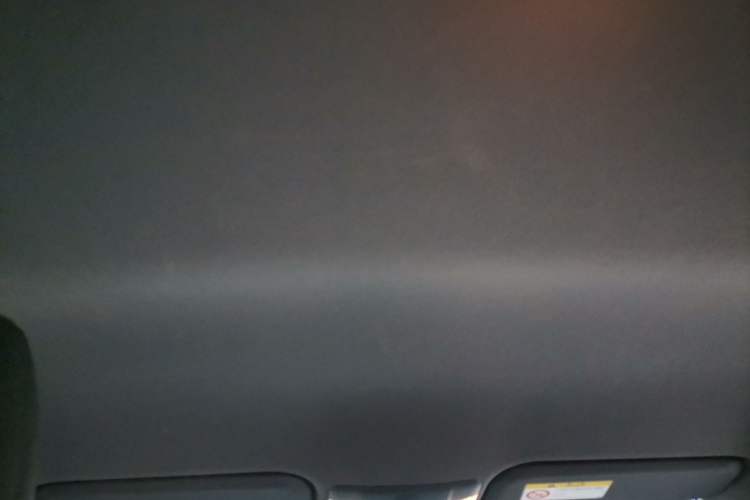 Used Toyota Levin 2019 185T CVT Entry-Level Version China VI Standard Headliner