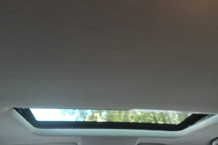 Used Great Wall Poer 2021 2.0T Global Version Automatic Diesel 4x4 Sporty Standard Cab GW4D20M Headliner