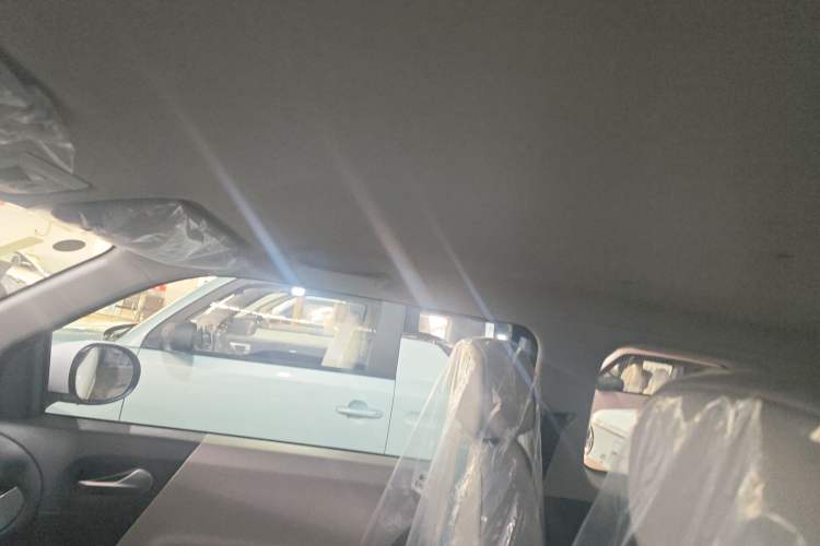 Used Qiyuan Lumin 2025 205 km Xiangqin Version
