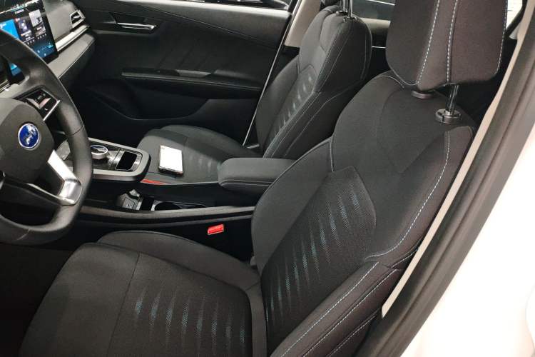 Used BYD e2 2020 Upgraded Model Standard Range Version Standard Configuration Left Front Seat