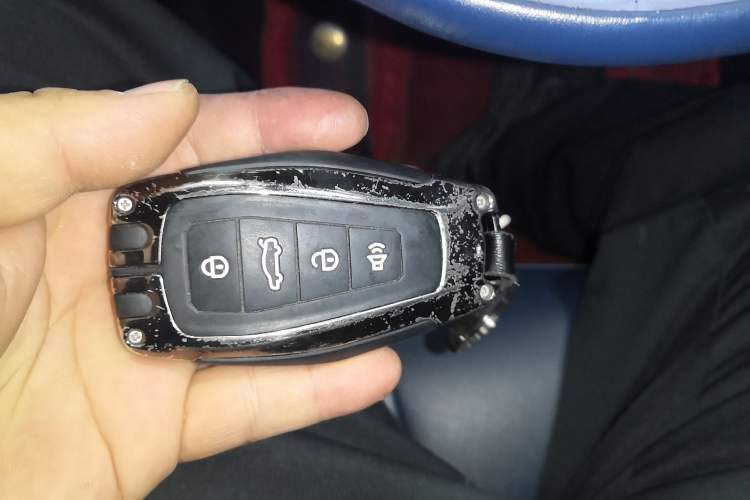 Used Geometry E Firefly 2022 401KM Lightning Tiger 4-Seater
