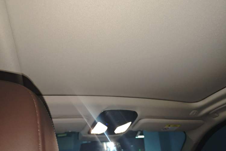 Used BMW X3 2021 Facelift xDrive28i Luxury Package Headliner