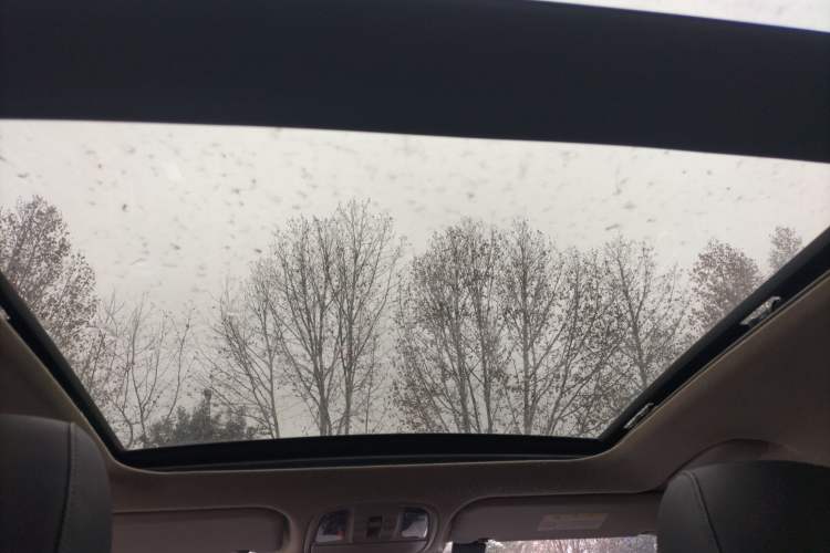 Used Kia Sportage R 2019 2.0L Automatic Smart Luxury Edition