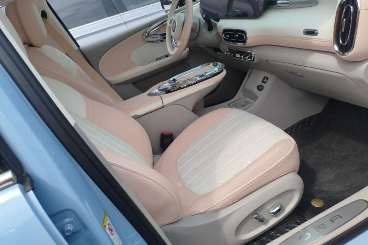 Used ORA Ballet Cat 2022 500 km Swan Lake Edition Right Front Seat