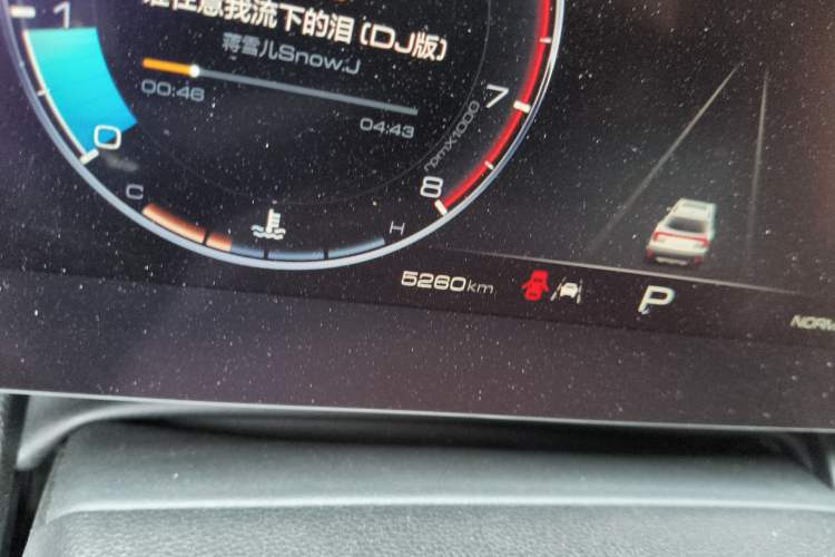 Used Haval DARGO 2024 2.0T DCT Chinese Rural Dog Edition Odometer Close Up