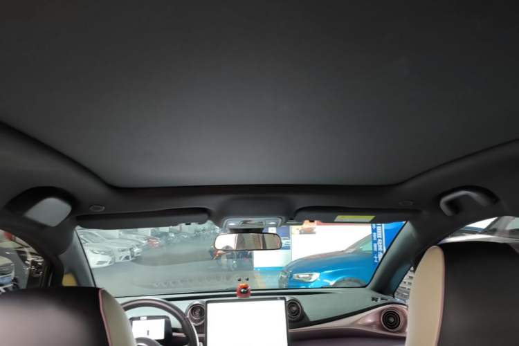 Used BYD Dolphin 2021 405 km Fashion Edition Headliner