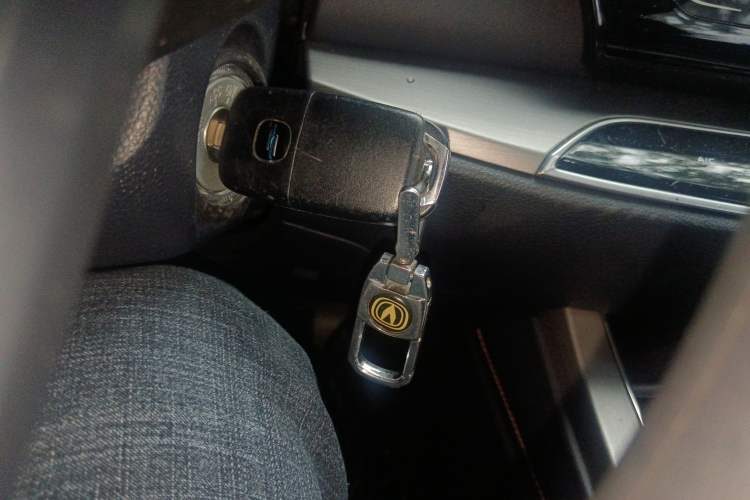 Used Oshan X7 2020 1.5T Manual Elite Edition