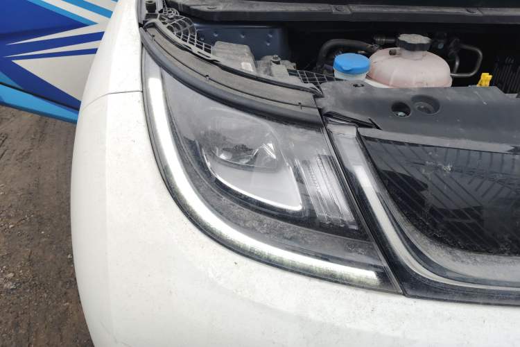 Used BYD Dolphin 2024 Honor Edition 420km Freedom Version
