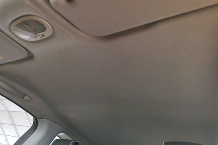 Used Chery Little Ant 2018 400 4-Seater Smart Edition Headliner