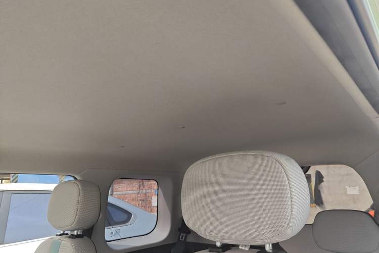 Used Qiyuan Lumin 2023 205km Xiangqin Version